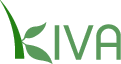 kiva
