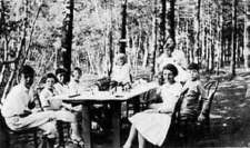 picnic