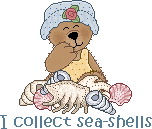 summer seashells