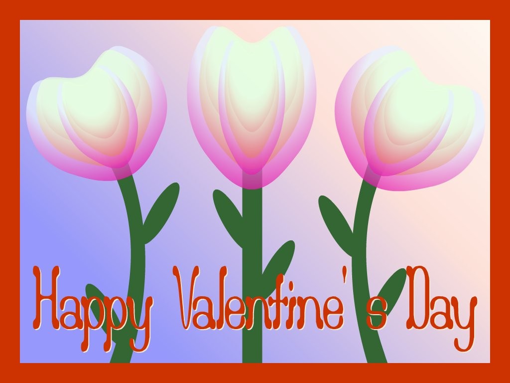 Valentine tulips